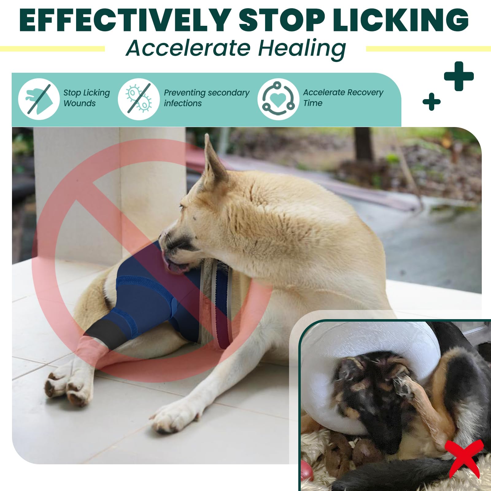 Joypig manchon patte arrière – anti-lick pour limiter le léchage.
