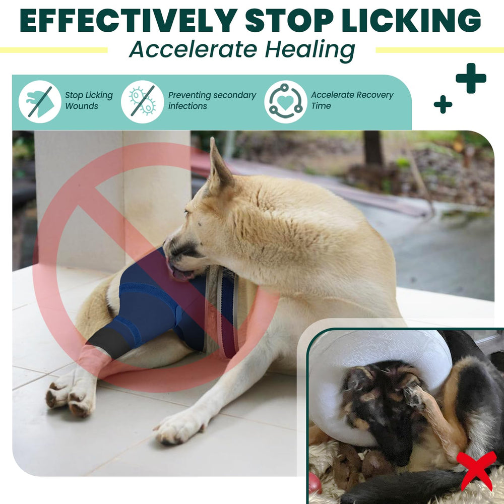 Joypig manchon patte arrière – anti-lick pour limiter le léchage.