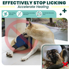 Joypig manchon patte arrière – anti-lick pour limiter le léchage.