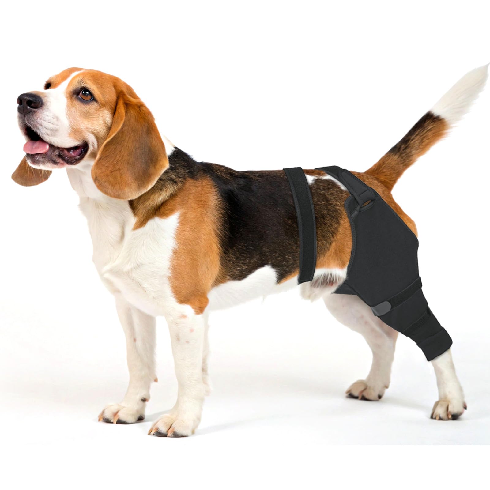 Joypig manchon jambe arriere: protection post-chirurgie sans collier irritant.