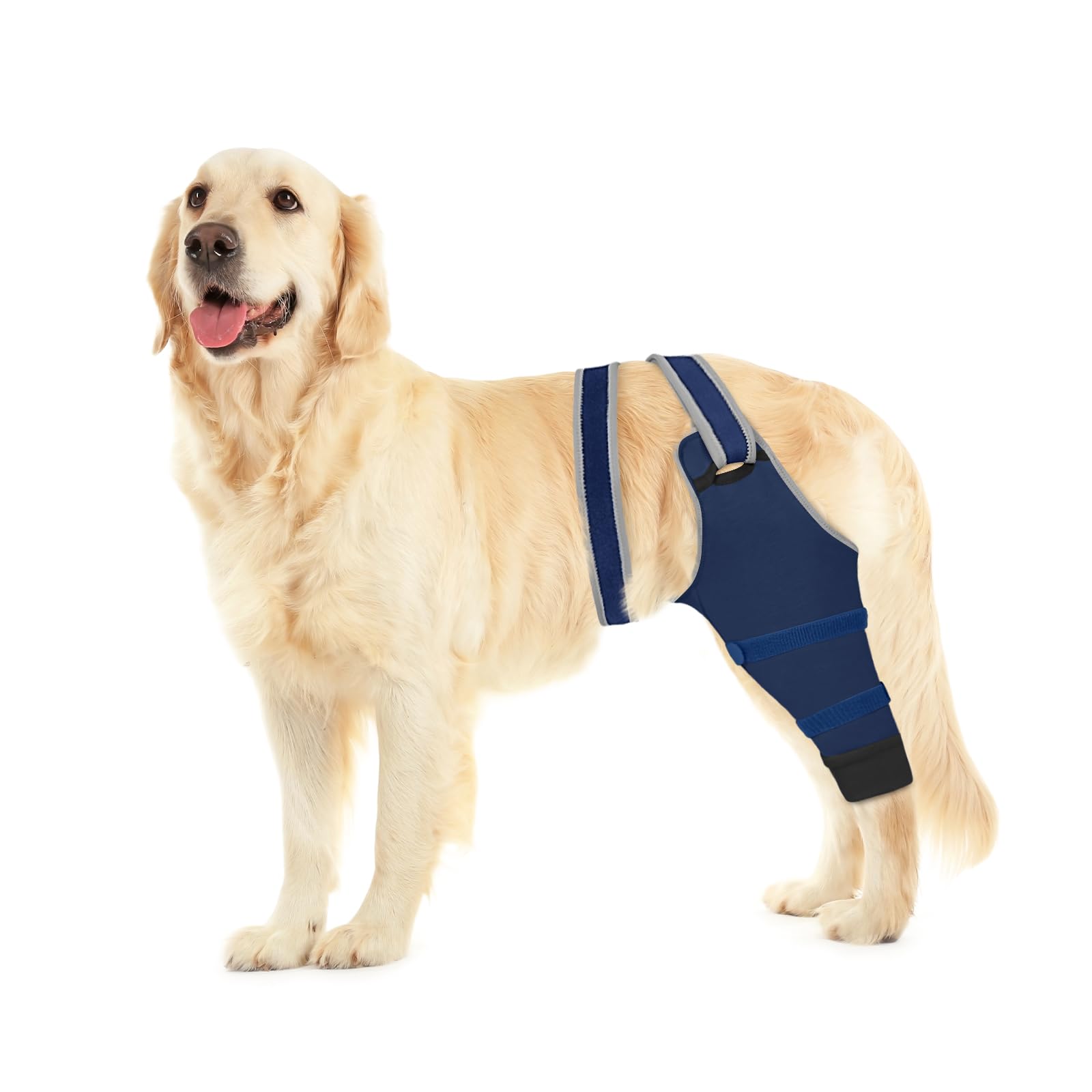Joypig manchon patte arrière chien confort et protection post chirurgie