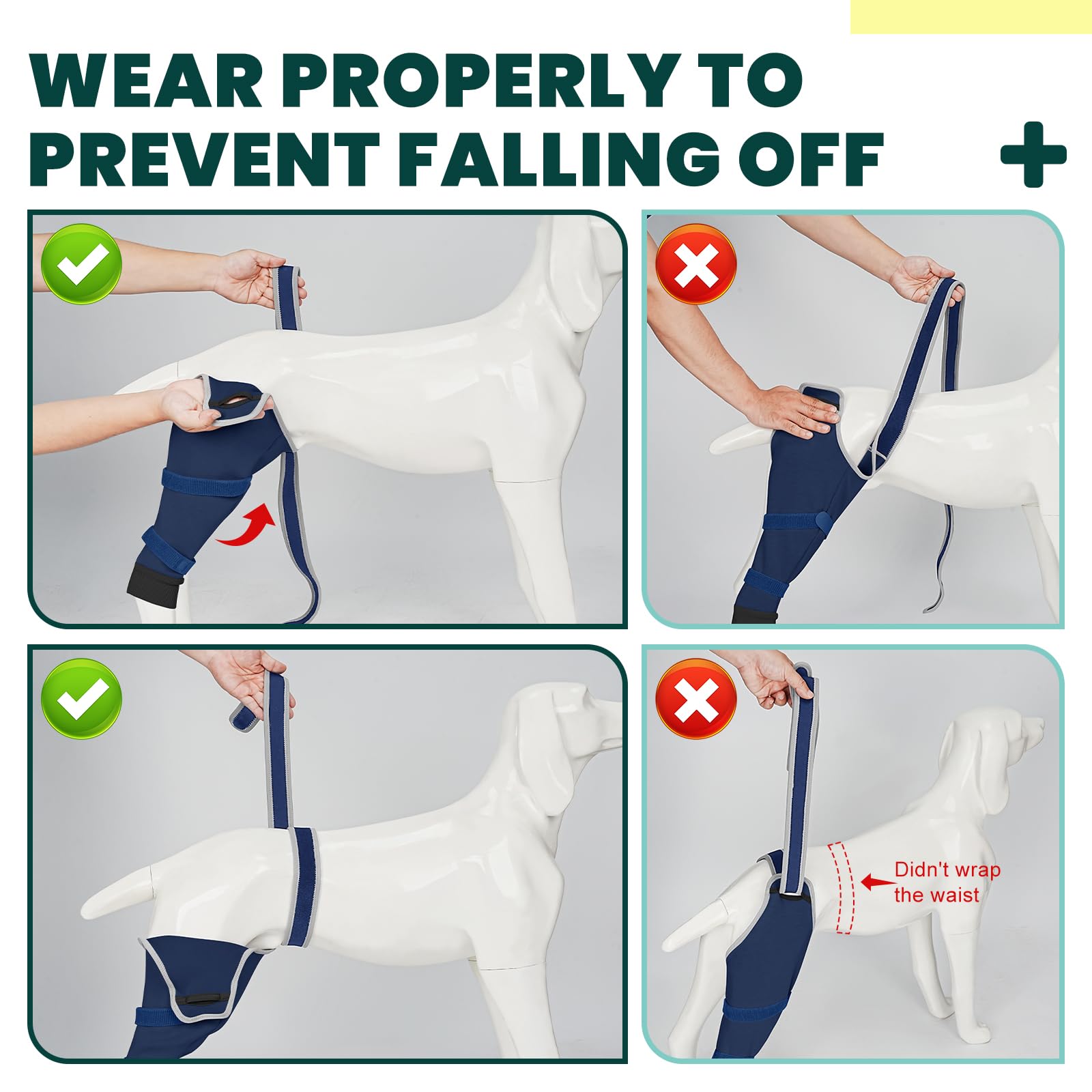 Joypig manchon patte-arriere chien facilite sorties et toilettes quotidiennes.
