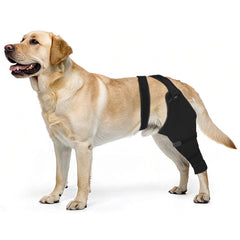 Joypig manchon-patte-arriere-chien: protection douce après chirurgie.