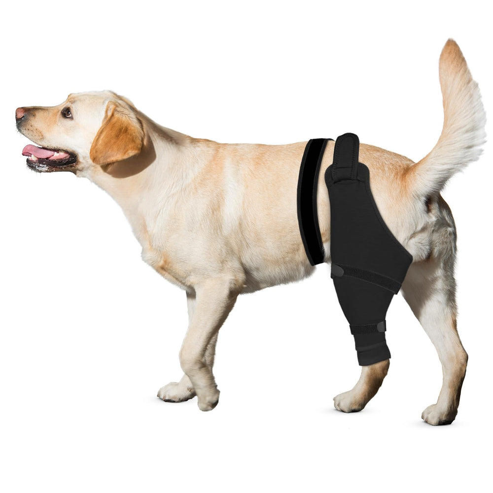 Joypig manchon patte arrière gauche noir 2XL protège les plaies.