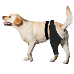 Joypig manchon patte arrière gauche noir 2XL protège les plaies.