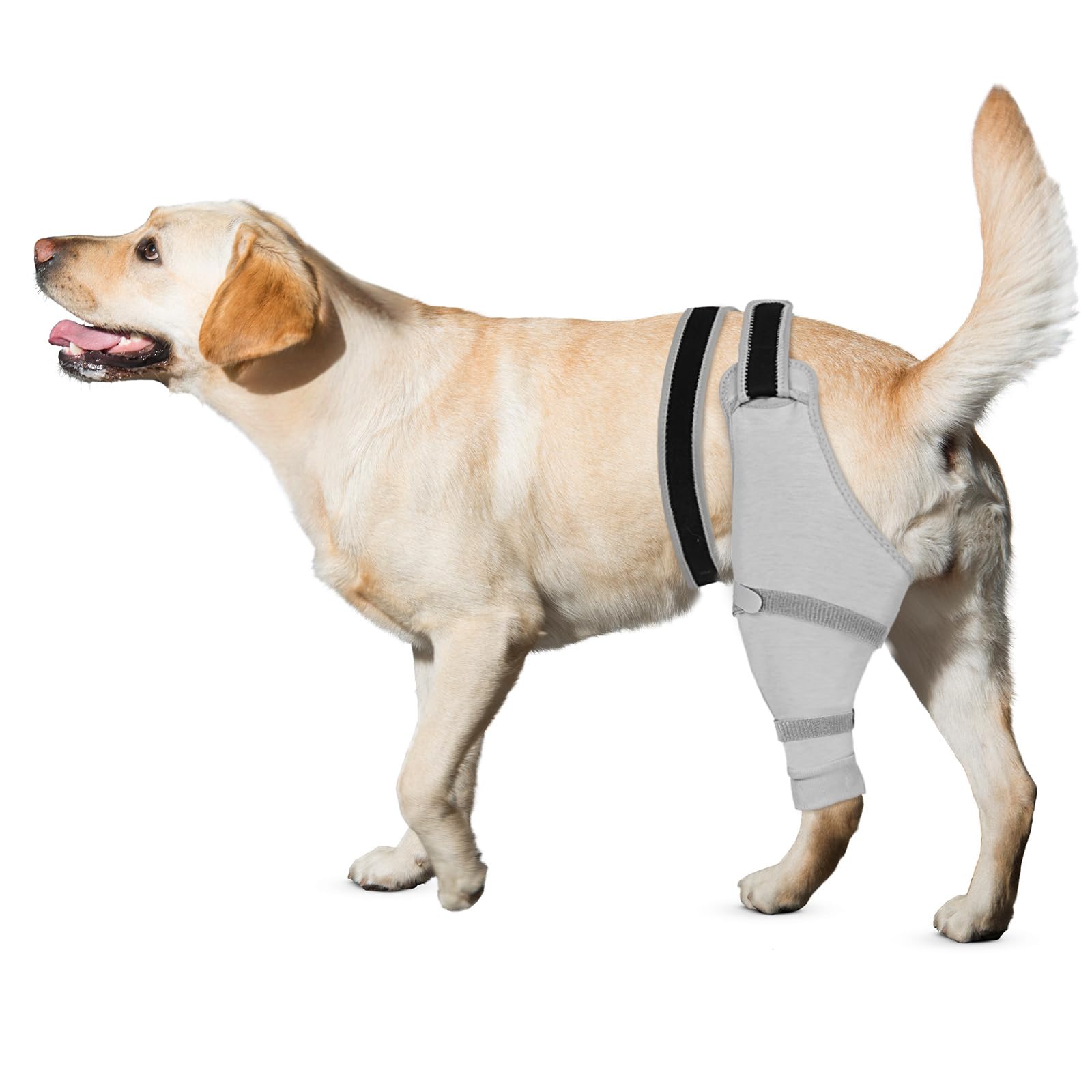 Joypig manche patte arrière droite gris protège les plaies et soutient la récupération.