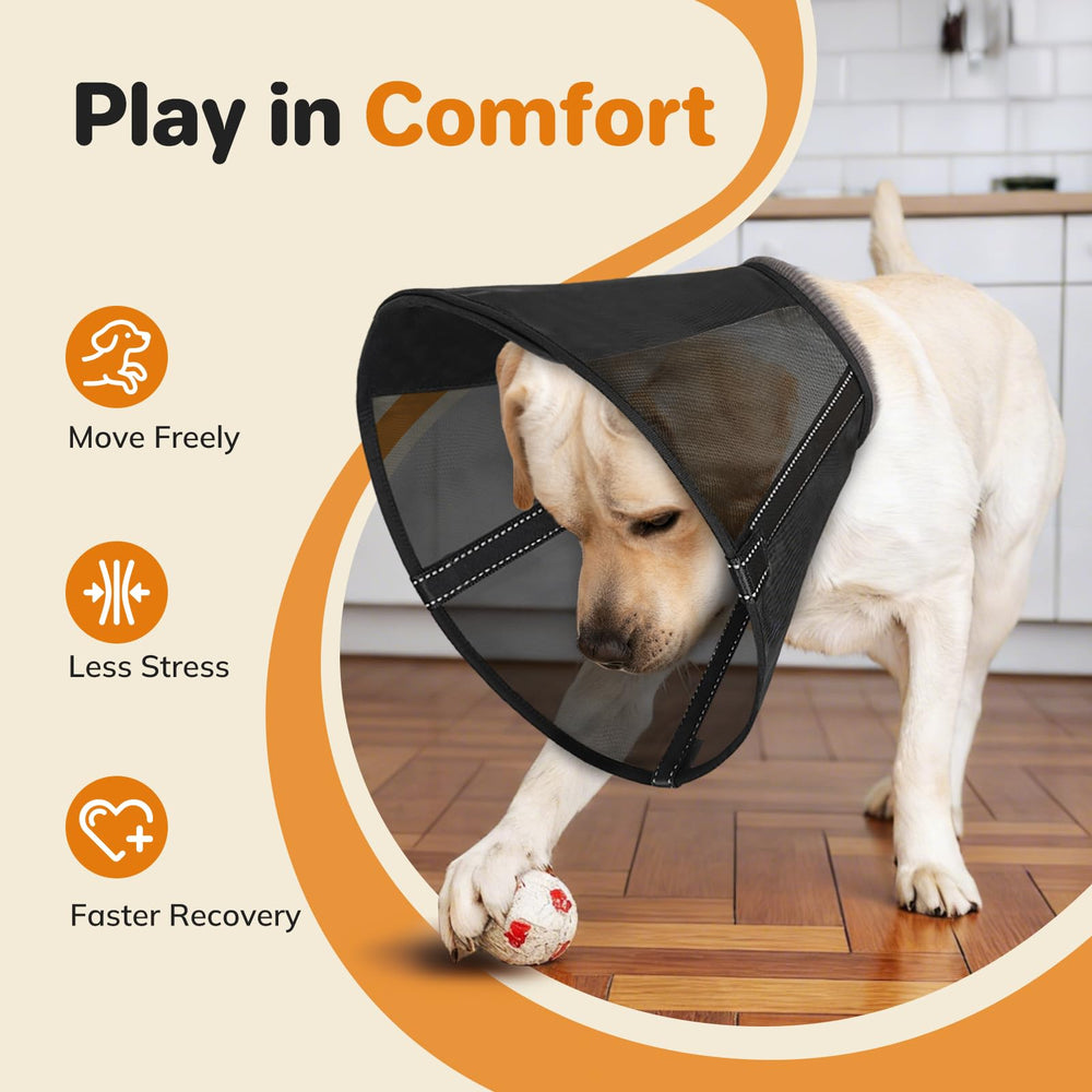 Joypig support amovible pour alimentation, manger sans retirer le collier.