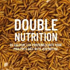 Joyprotyn BSFL: calcium 85x pour oeufs plus solides et os des volailles.
