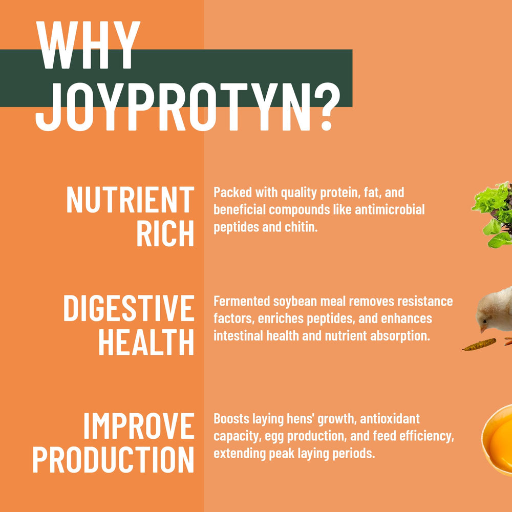 Joyprotyn BSFL: protéine 43% pour poules, soutient croissance et plumage.