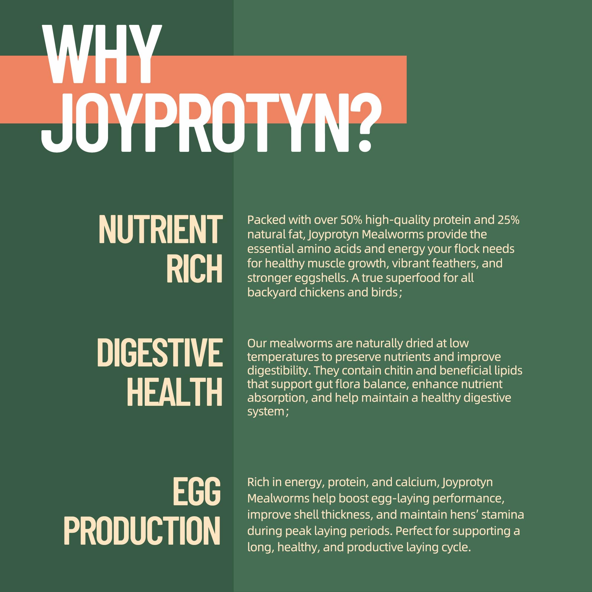 Joyprotyn vers de farine sèches sachet ouvert: pratique pour une distribution rapide et propre.