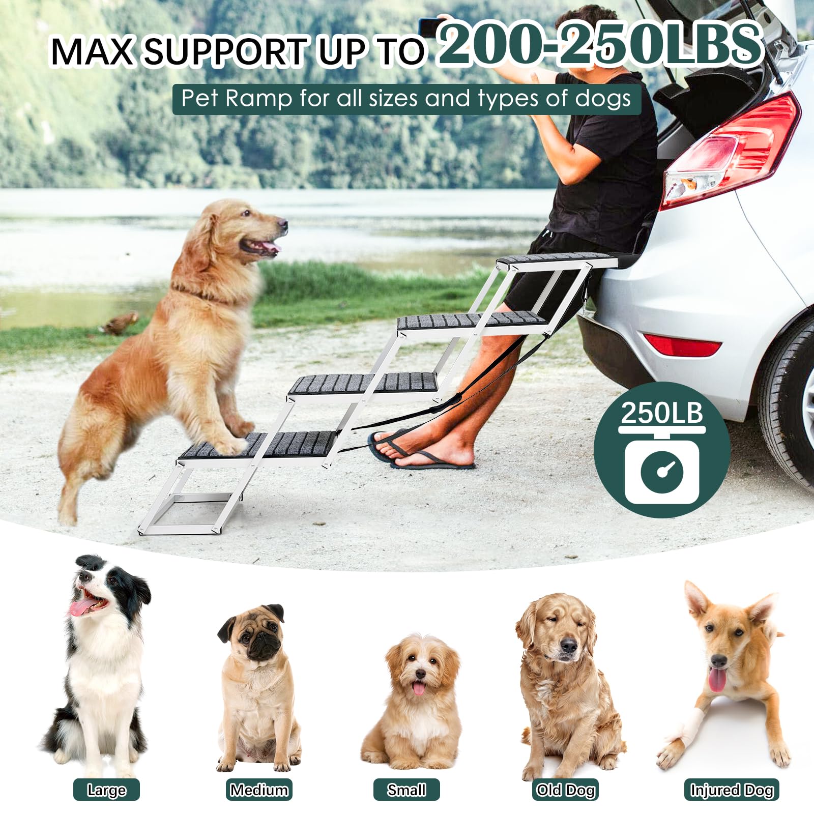 Joyrally escalier-chien pour lit haut facilitant l'accès