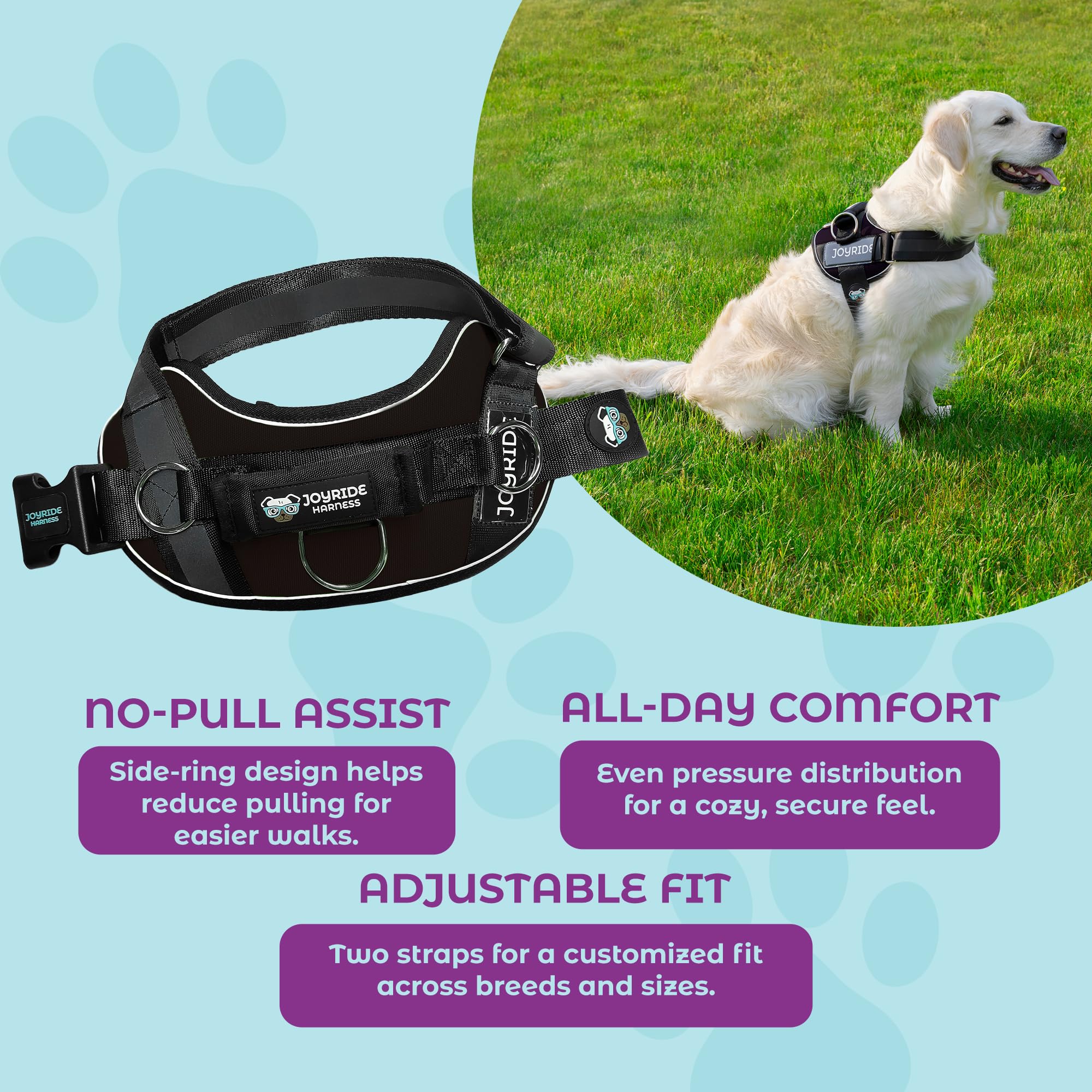 Joyride Harness 2.0 – tissu réfléchissant pour une visibilité accrue.