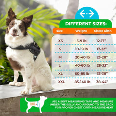 Joyride Harness 2.0 – trois points d’attache pour un contrôle polyvalent.