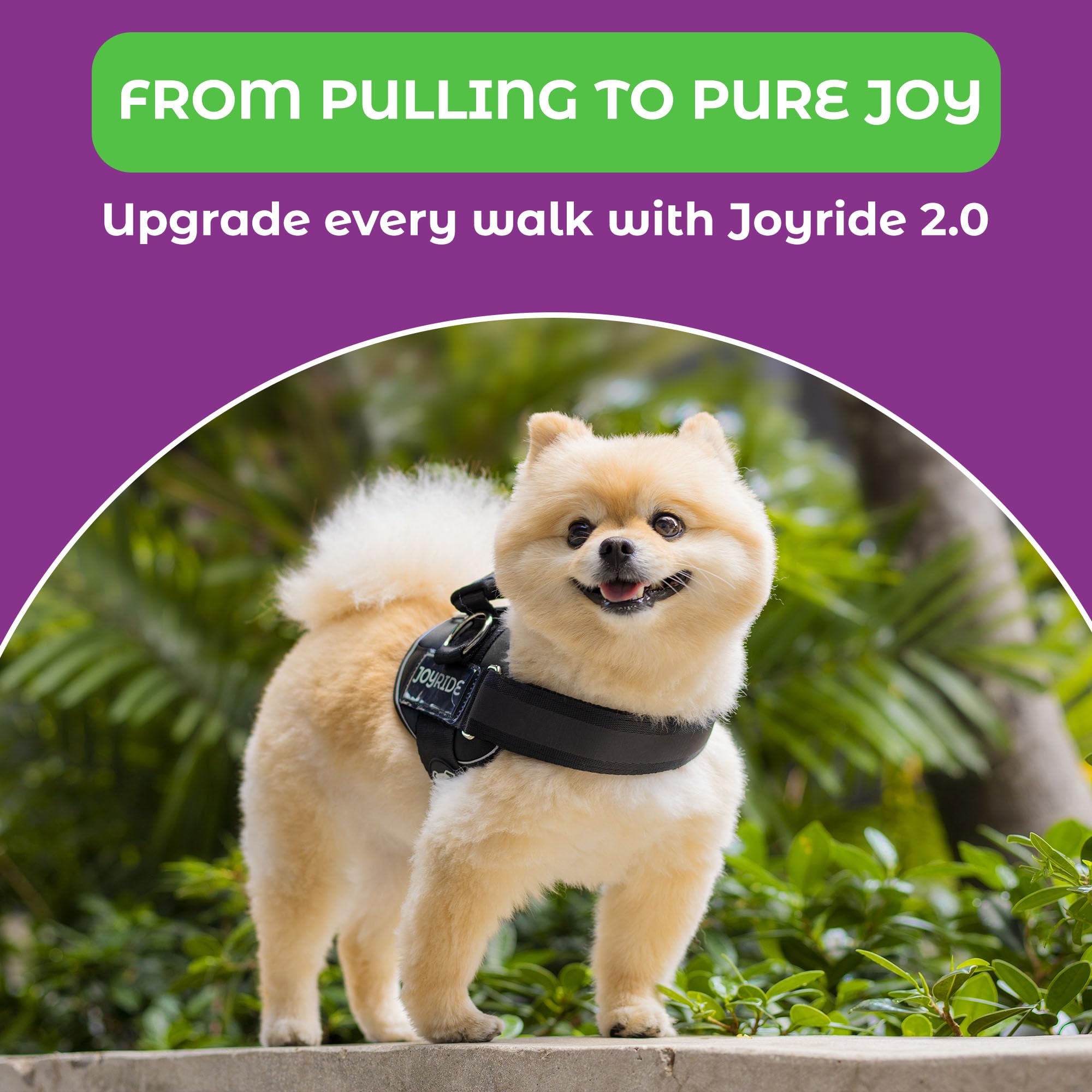 Joyride Harness 2.0 – utilisation quotidienne facile et pratique.