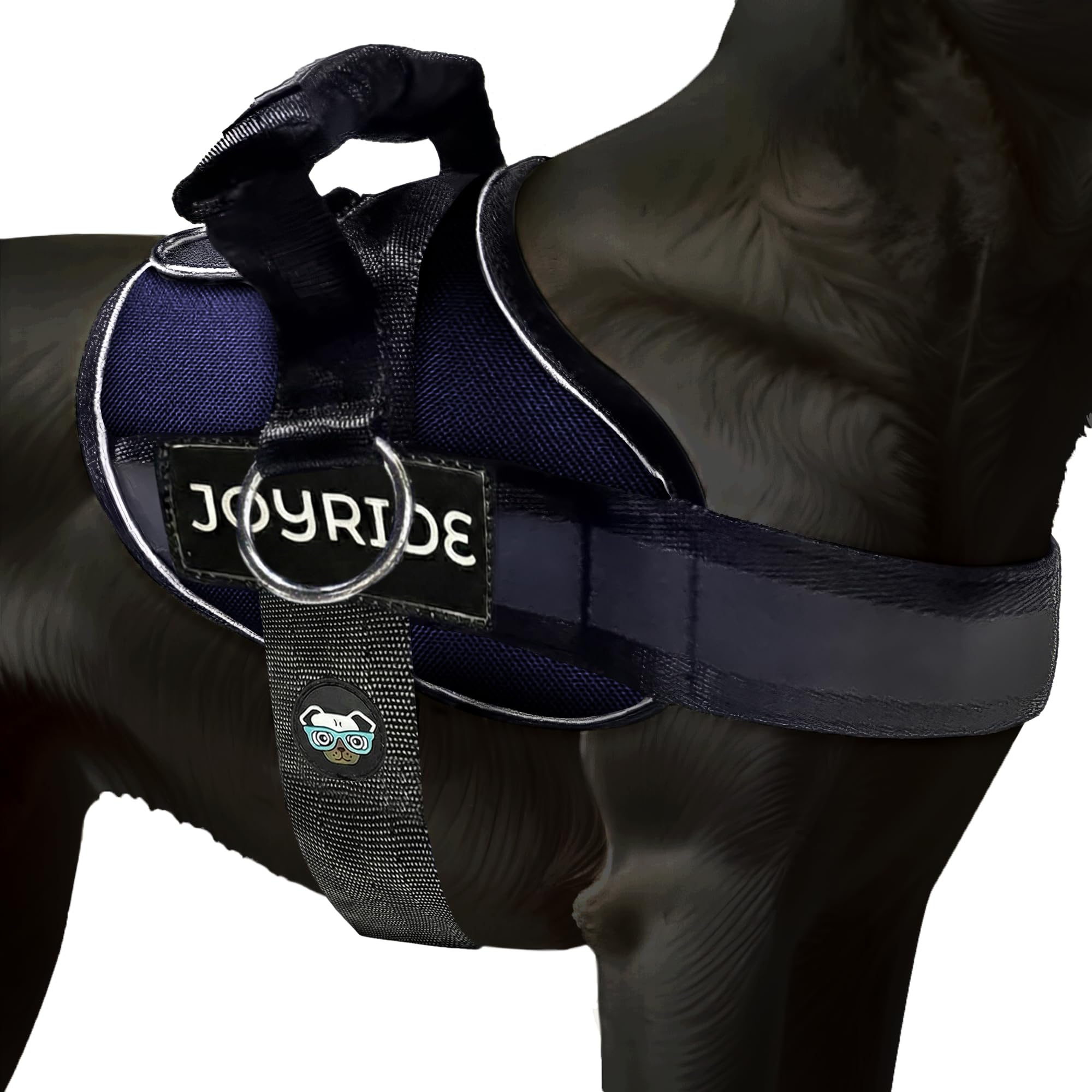 Harnais Joyride 2.0 avec anneau latéral pour un contrôle sans tir lors des promenades.