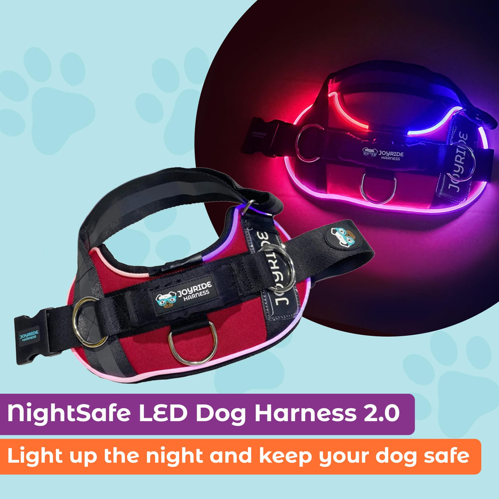 Joyride Harness mode DEL solide, trois options pour sorties variées.