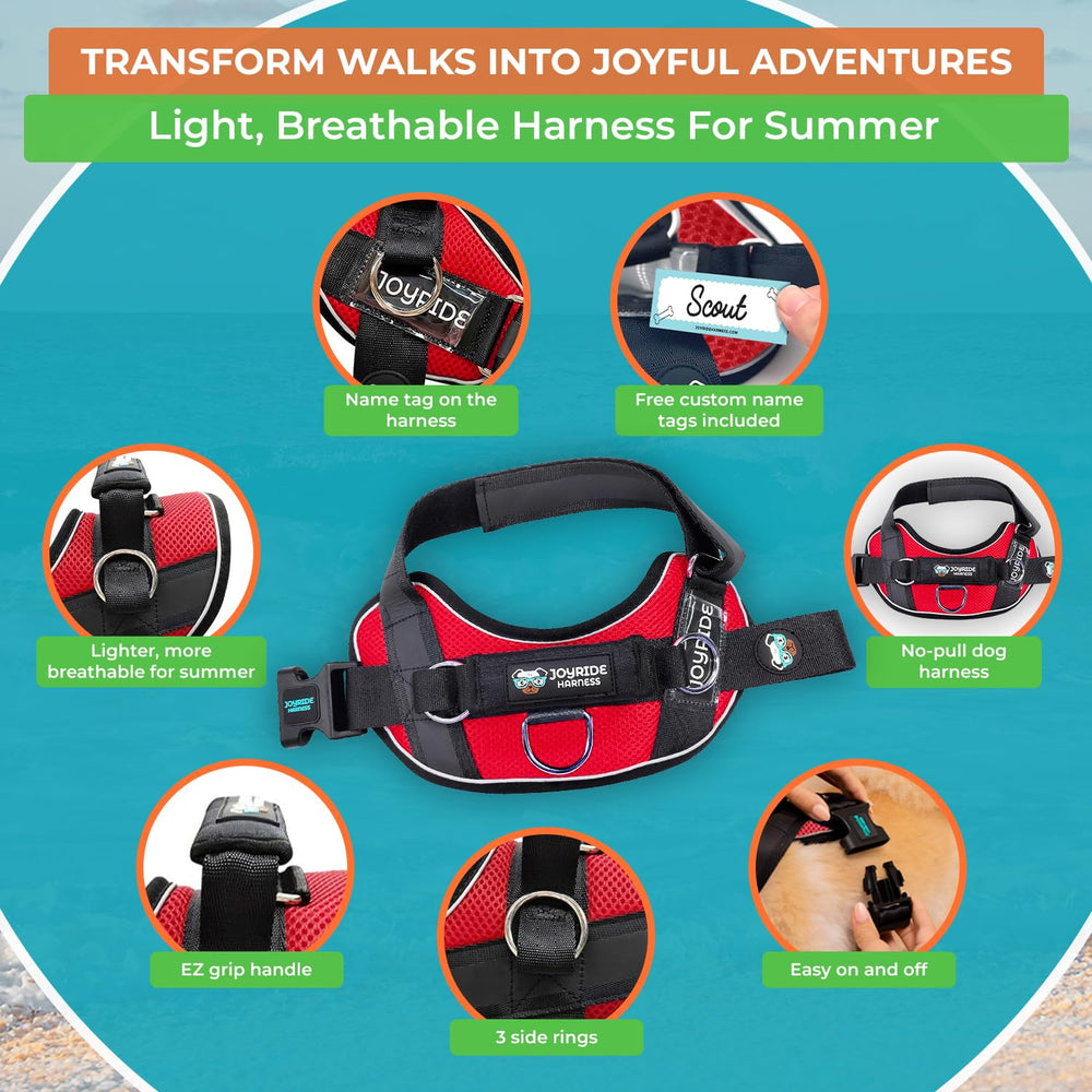Joyride Harnais étiquette nom: personnalisation pour repérer facilement votre chien