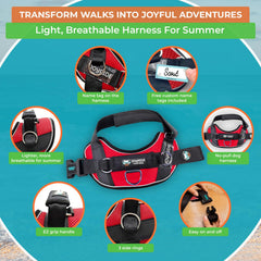 Joyride Harnais étiquette nom: personnalisation pour repérer facilement votre chien