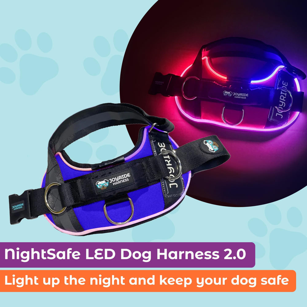 Joyride Harness LED mode rapide attire l’attention des piétons lors des sorties nocturnes