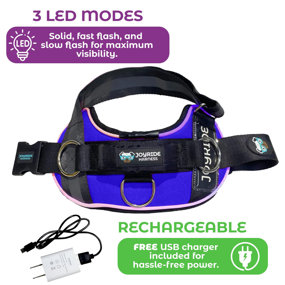 Joyride Harness LED mode lent assure une promenade nocturne en sécurité et douceur