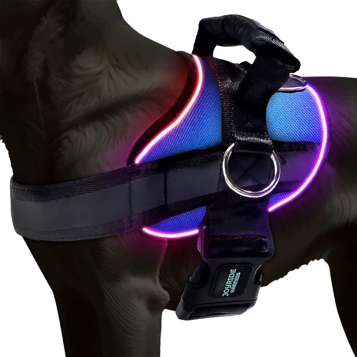 Joyride Harness montre la lumière LED mode solide pour une visibilité nocturne accrue