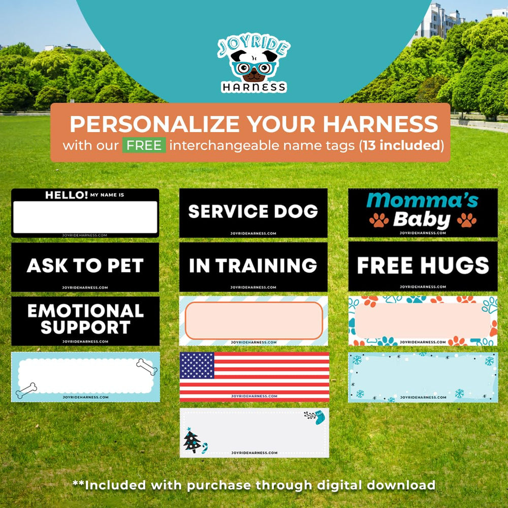 Joyride Harnais petite taille: parfait pour les chiens de petite morphologie