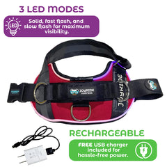 Joyride Harness zone nom personnalisable pour identification et sécurité.