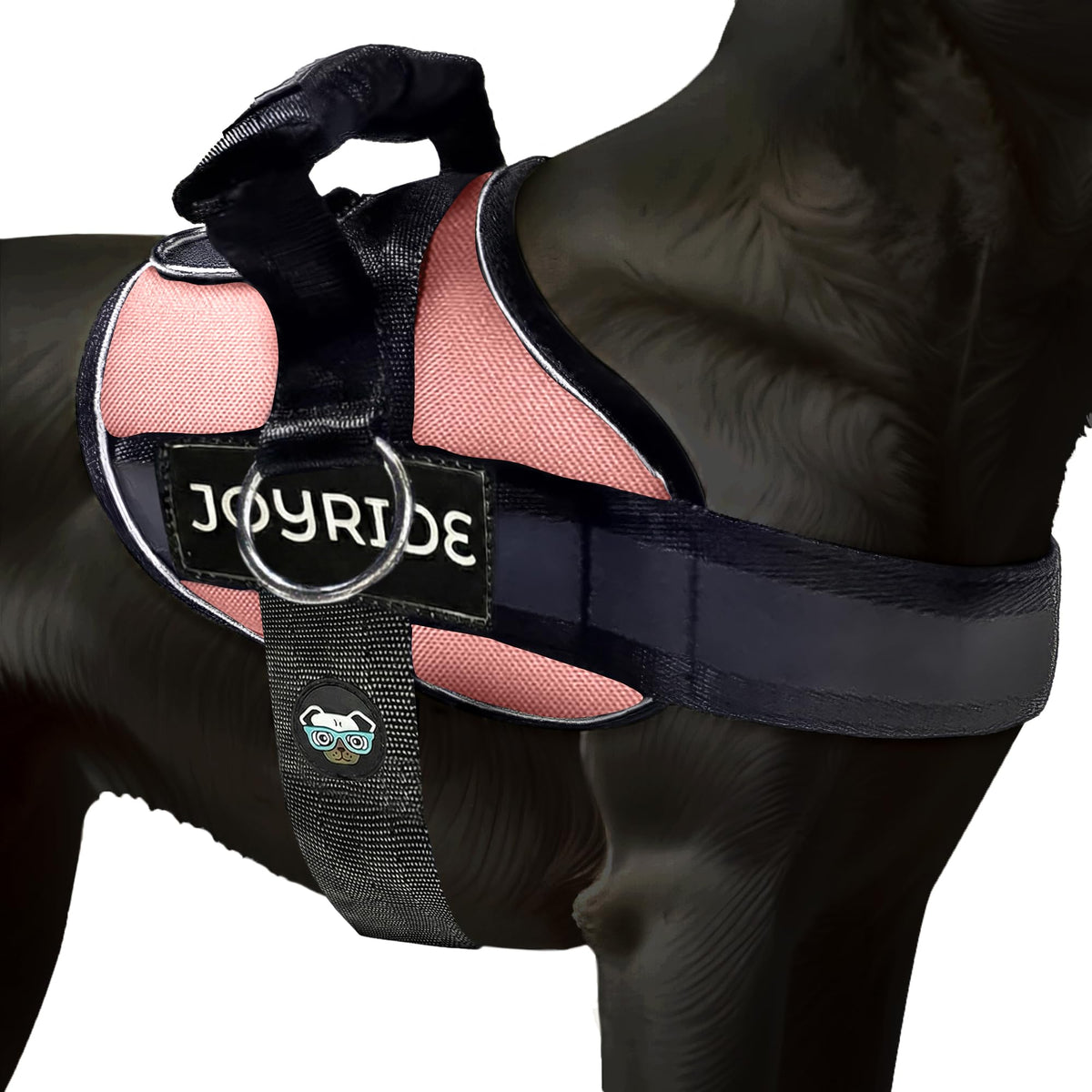 Joyride Harness 2.0 – design côté anneau pour un contrôle accru lors des promenades.