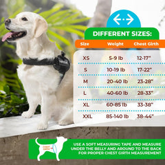 Joyride Harness 2.0 – trois points d'attache latérales pour une marche mieux guidée.