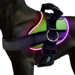 Joyride Harness lumineux avec lumière intégrée pour une meilleure visibilité nocturne.