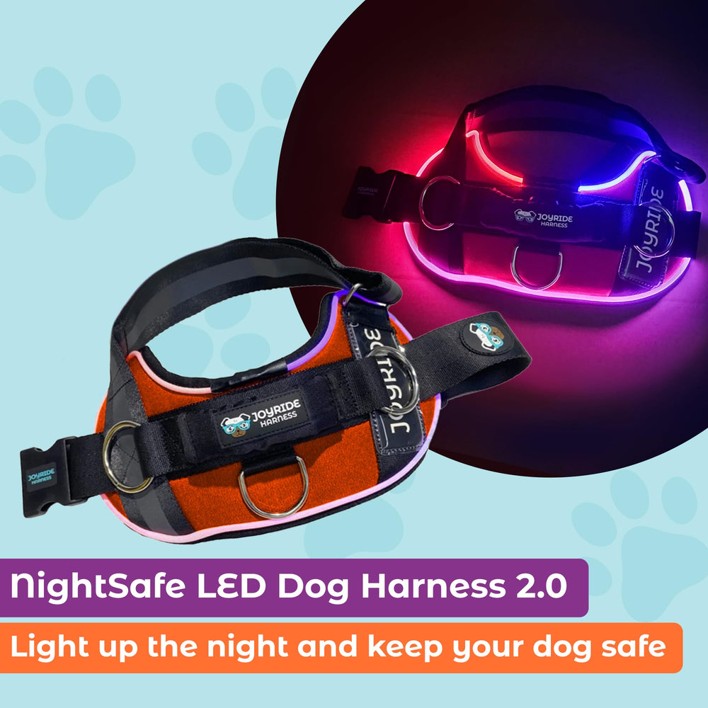 Joyride Harness montre les trois modes LED pour une visibilité adaptable.