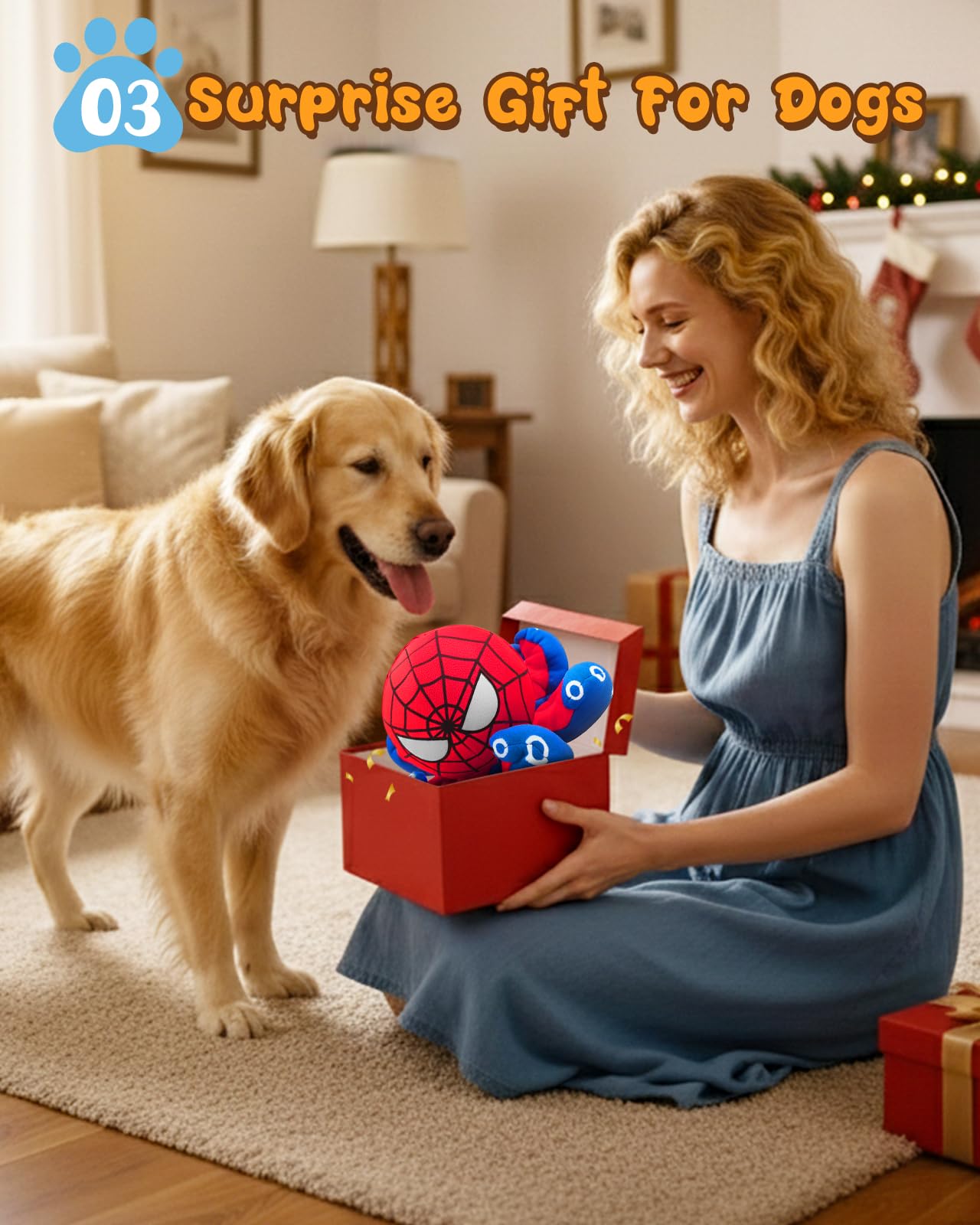 JoySolar cadeau idéal pour chien, textures et surprises appréciées.