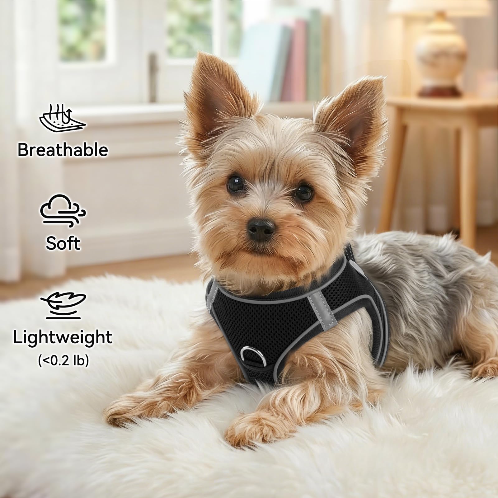 Joytale harnais avec boucle rapide, facile à mettre pour chiens actifs
