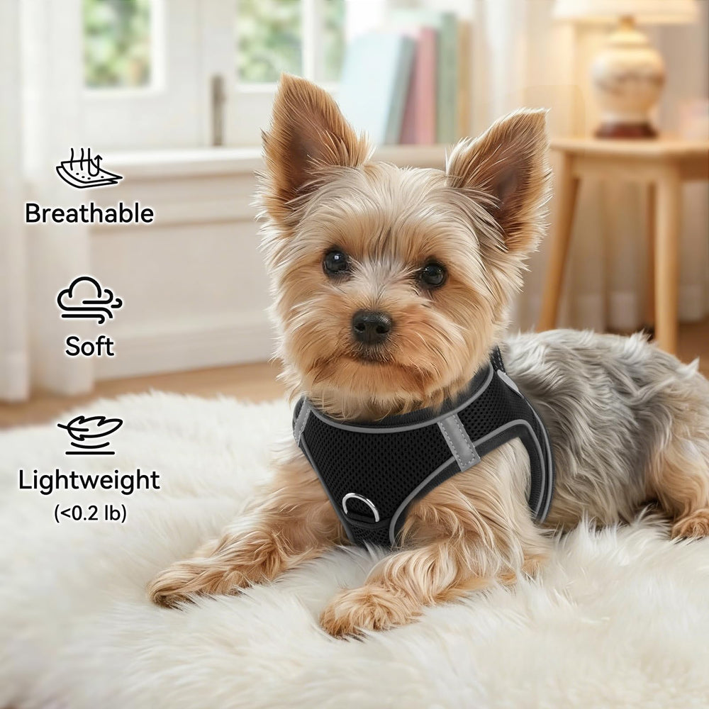 Joytale harnais avec boucle rapide, facile à mettre pour chiens actifs