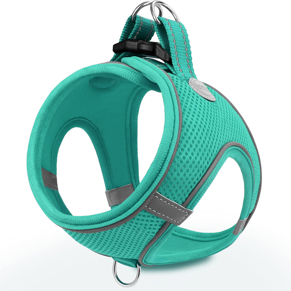 Joytale harnais petit chien, mesh 3D aération, maintien frais pendant les promenades.