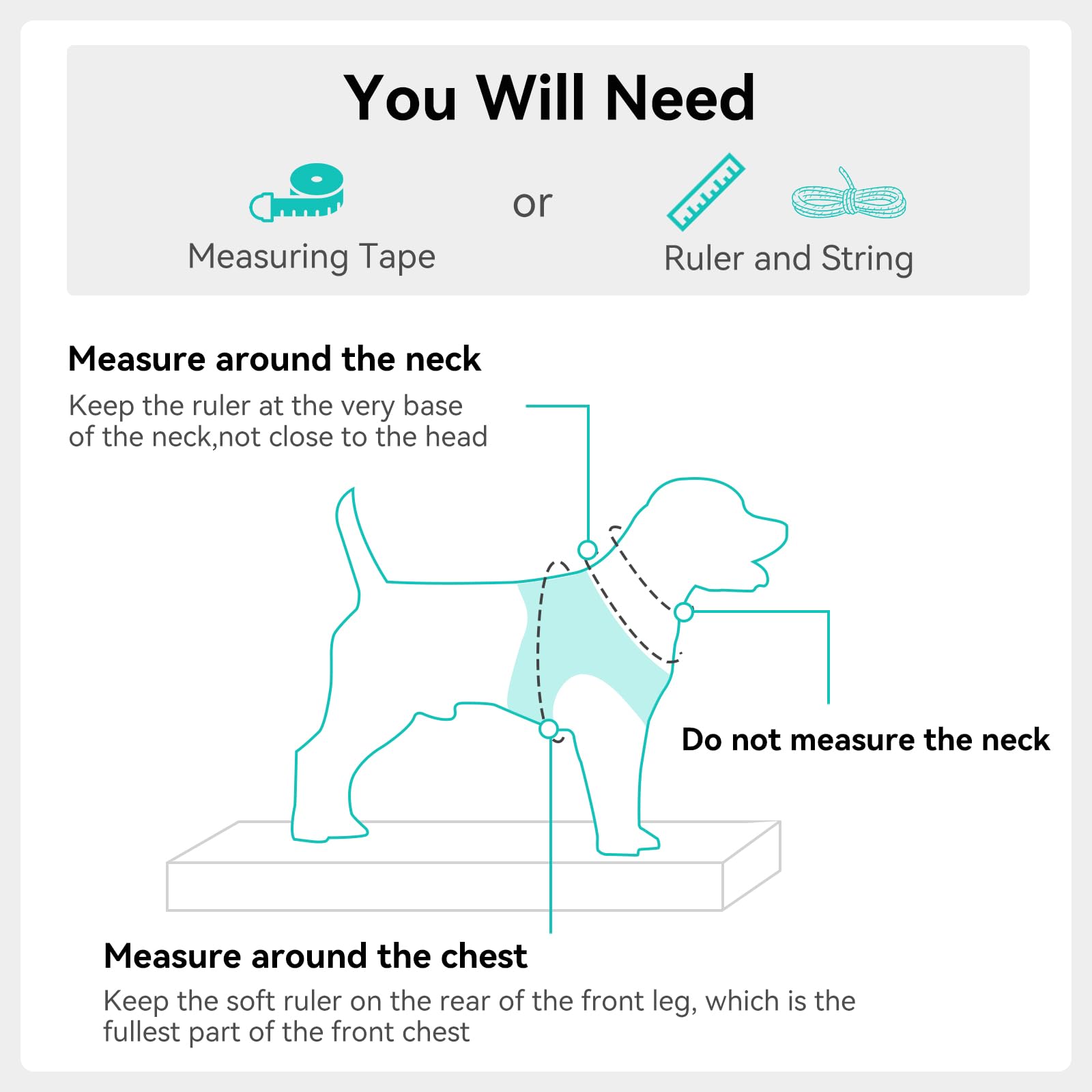 Joytale harnais petit chien, guide taille précis, ajustement optimal pour un fit confortable.