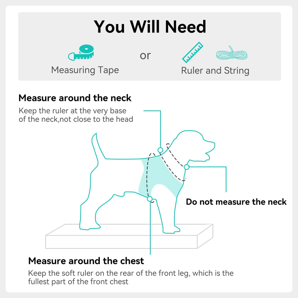 Joytale harnais petit chien, guide taille précis, ajustement optimal pour un fit confortable.