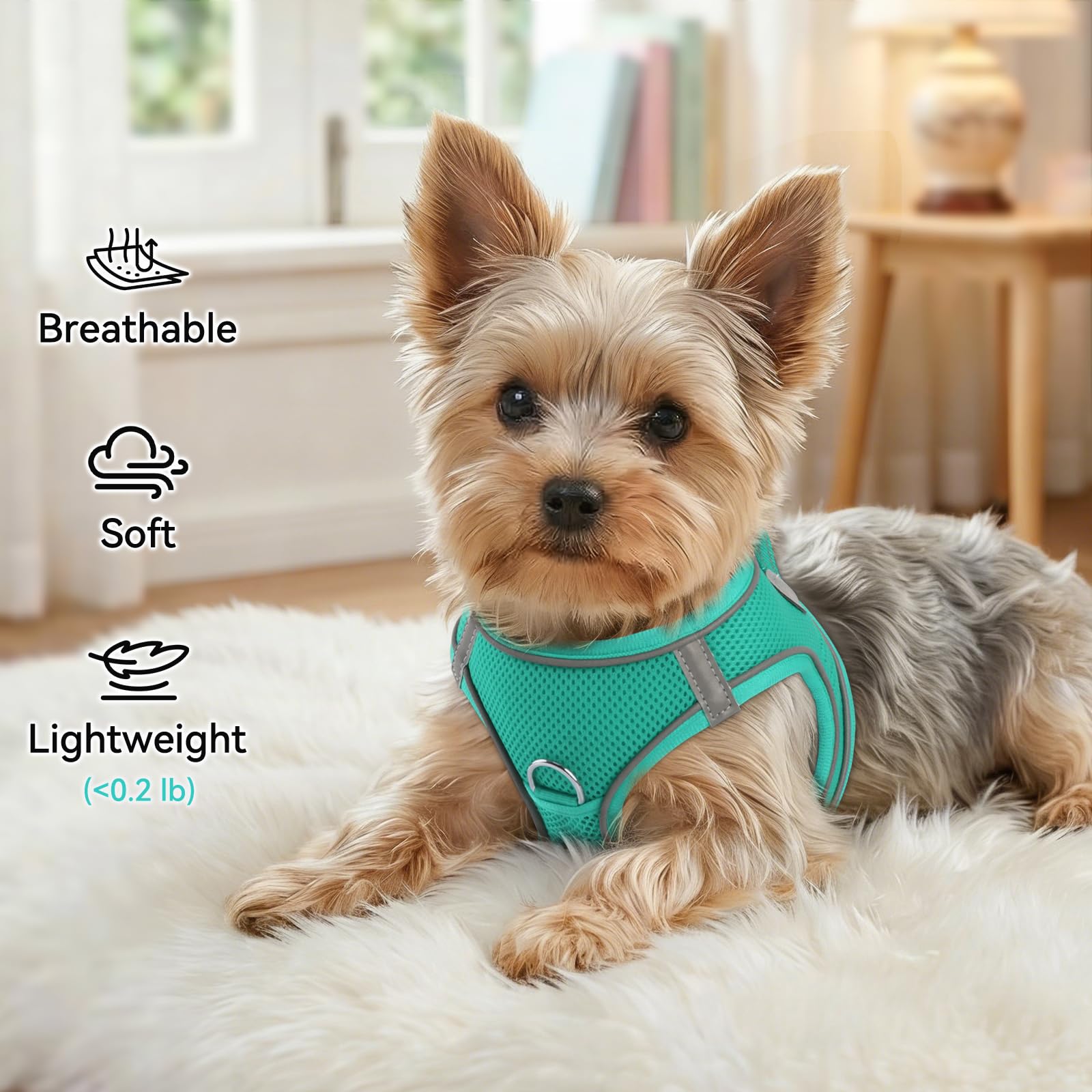 Joytale harnais petit chien, mesh 3D aération, chien au frais même en été.