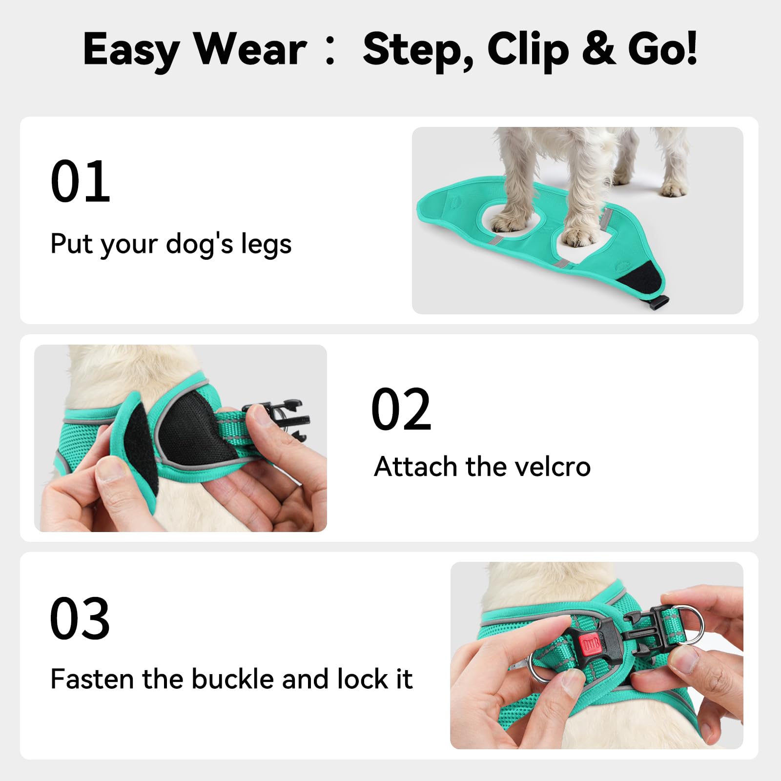 Joytale harnais petit chien, sécurité ergonomique, réduction du tirage et respiration libre.