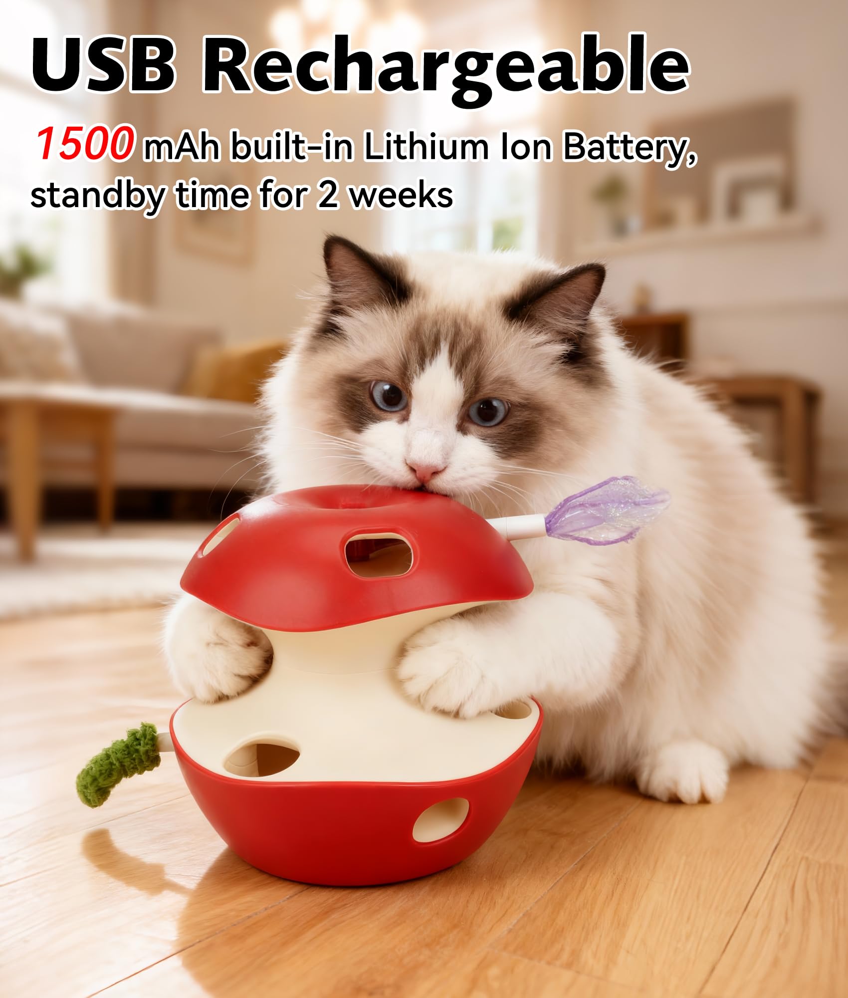 Joytale jouet-chat-teaser-plume-naturelle: accessoire teaser pour jeu interactif.