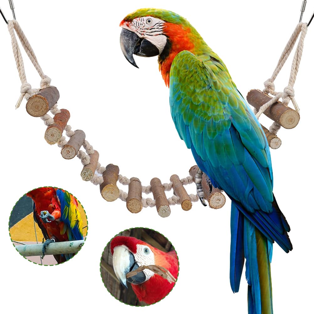 Joyzan plate-forme bois suspendue, jeu interactif pour petits et moyens oiseaux.