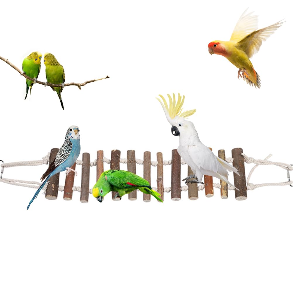 Joyzan pont bois naturel pour oiseau, améliore l’équilibre lors du jeu.