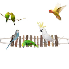 Joyzan pont bois naturel pour oiseau, améliore l’équilibre lors du jeu.