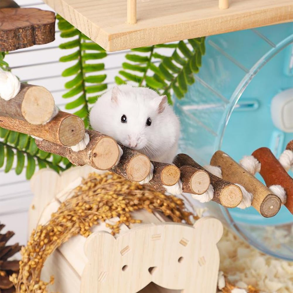 Joyzan rampe corde naturelle, encourage grimper et explorer.