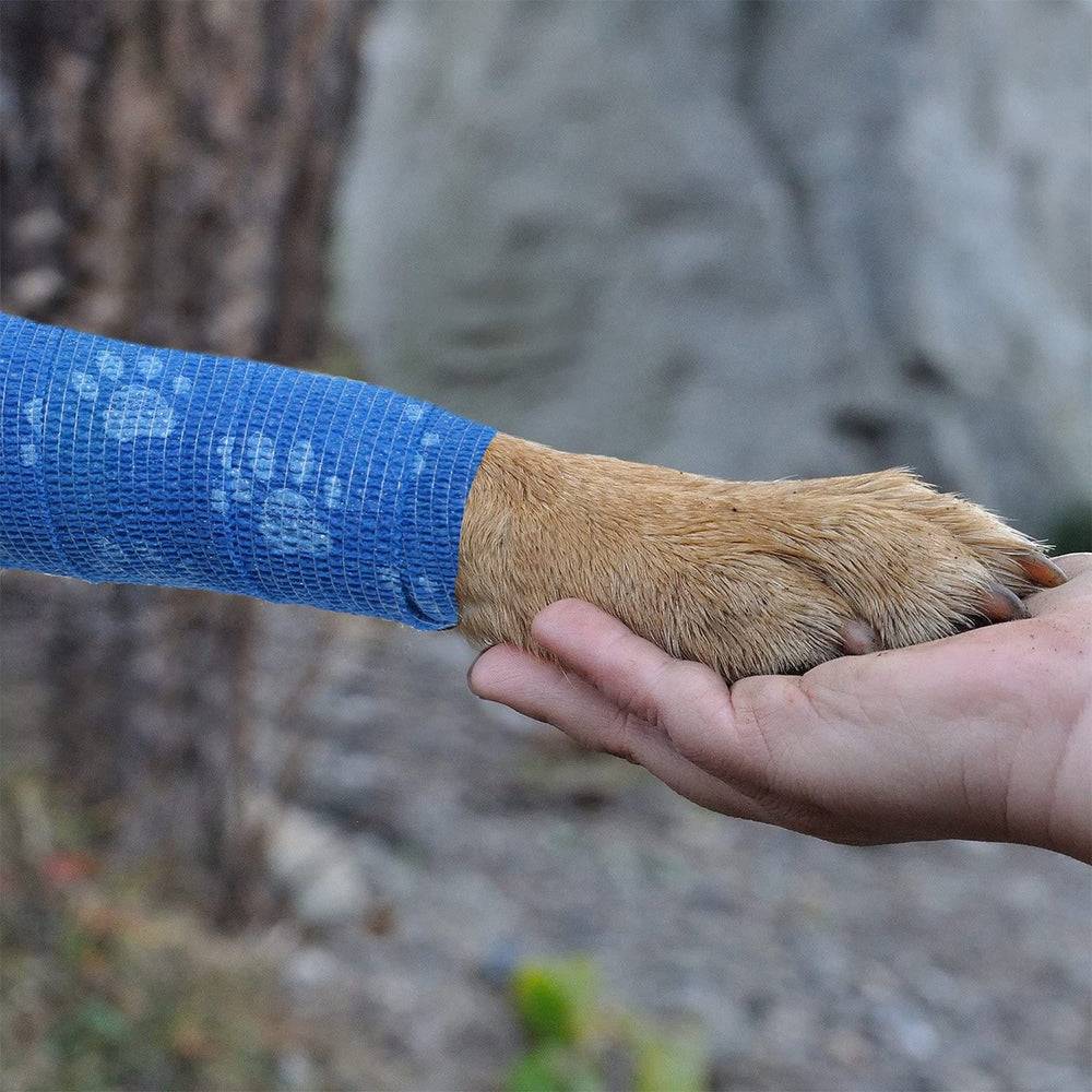 Bandage JpGdn motif zebre, polyvalent et facile à manipuler.