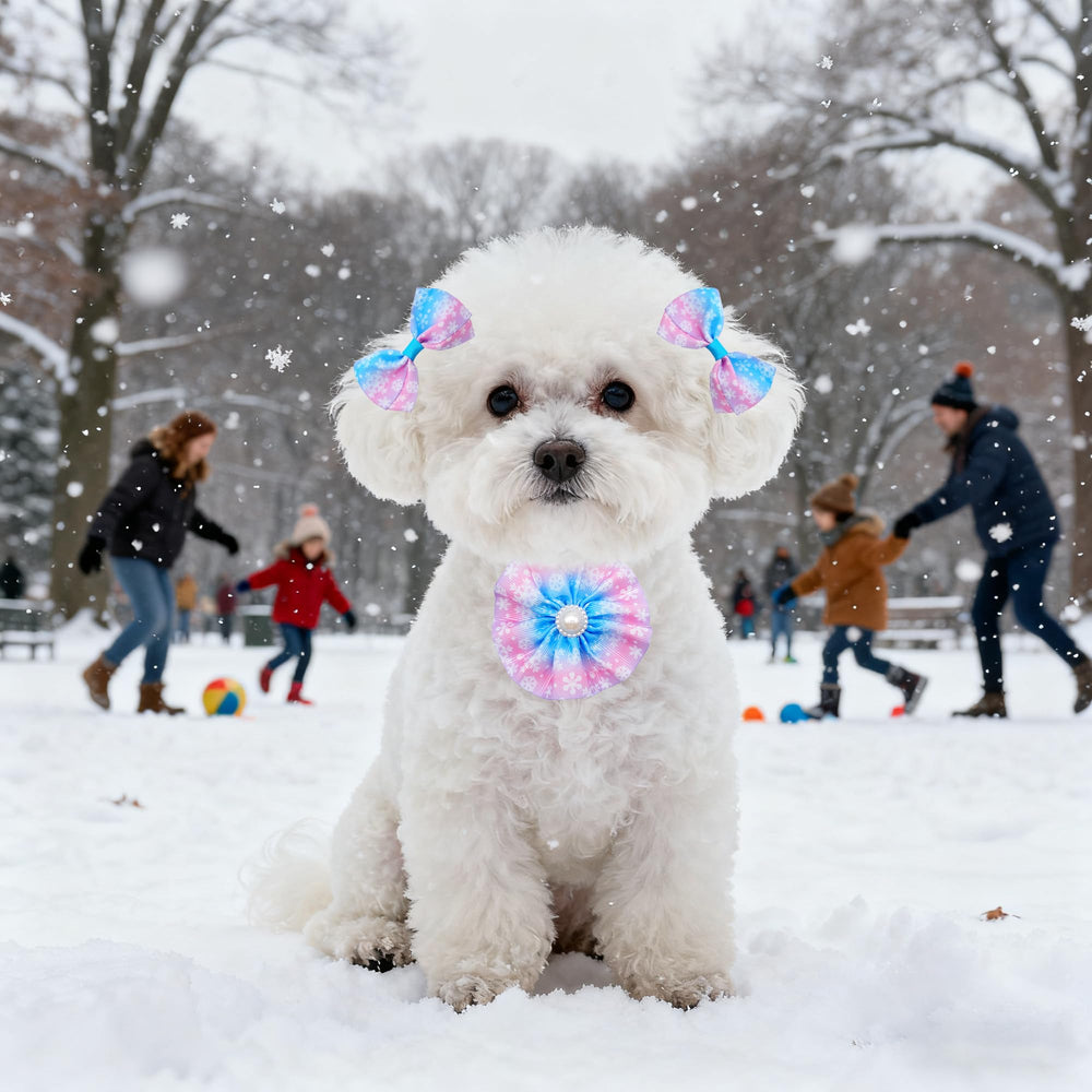Parfait pour photos et promenades, style hivernal facile.