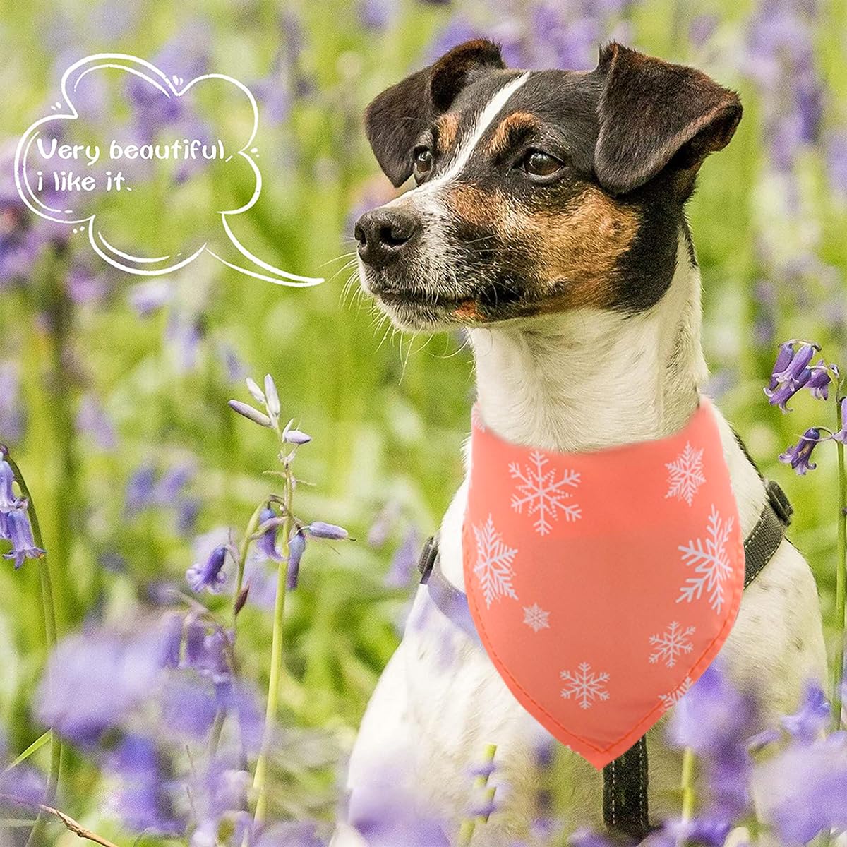 Bandana jpgdn pour chien comme décor élégant lors des séances photo ou cadeaux