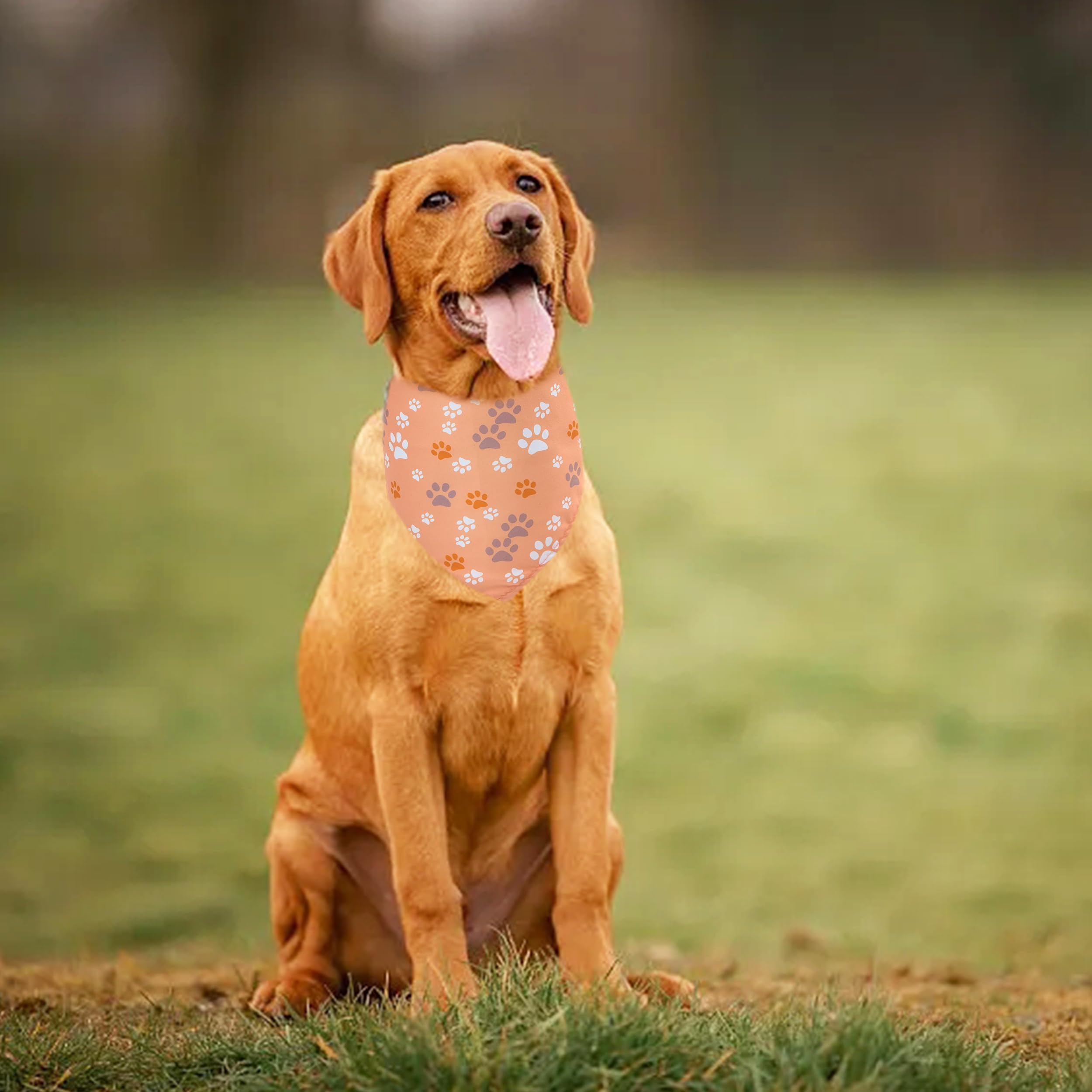 JpGdn bandana grand-chien empreinte-pattes jaune, parfait pour fêtes et événements