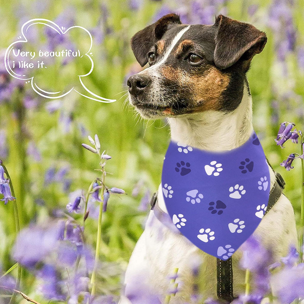 JpGdn bandana grand-chien empreinte-pattes vert, idéal pour grooming et jeu