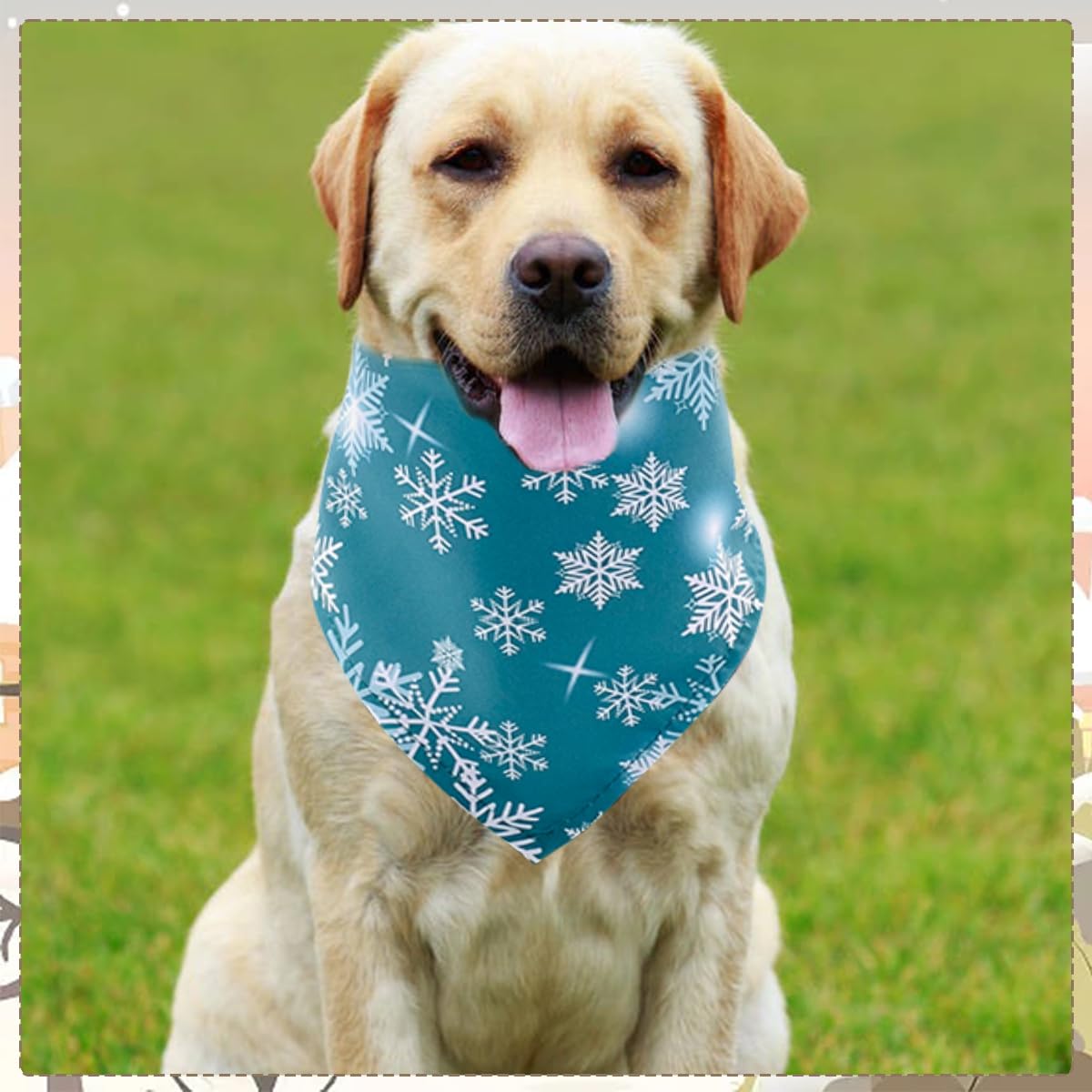 Bandana jpgdn lavable en machine, pratique pour le quotidien des chiens actifs